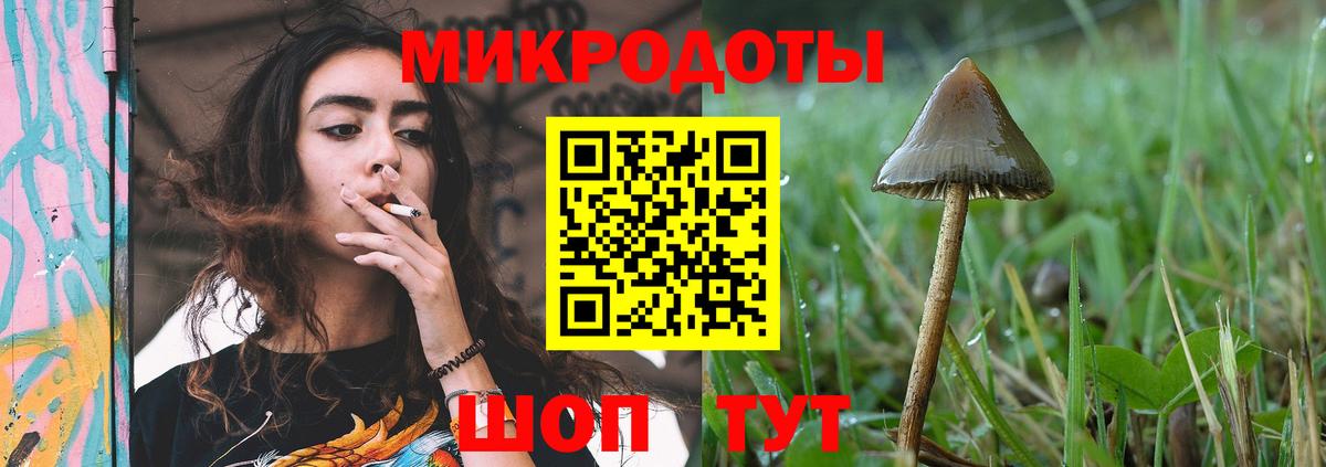 Галлюциногенные грибы мицелий  Вход с VPN  Сосновоборск 